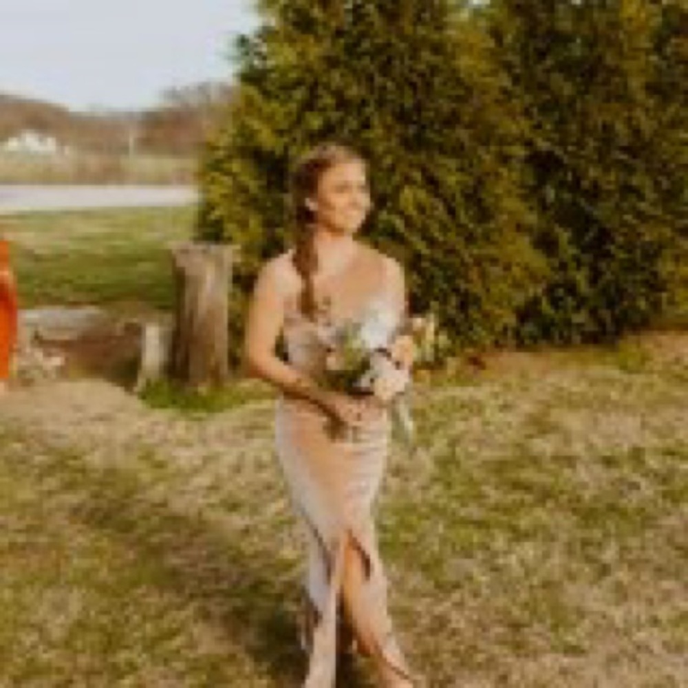 Baltic Born Velvet Champagne Dress